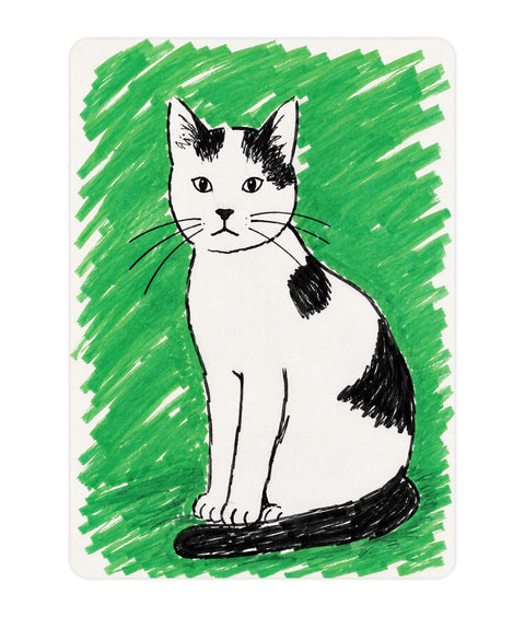 Cat Acrylic Poster