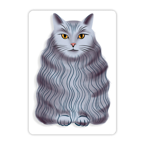 Gray Cat Acrylic Poster