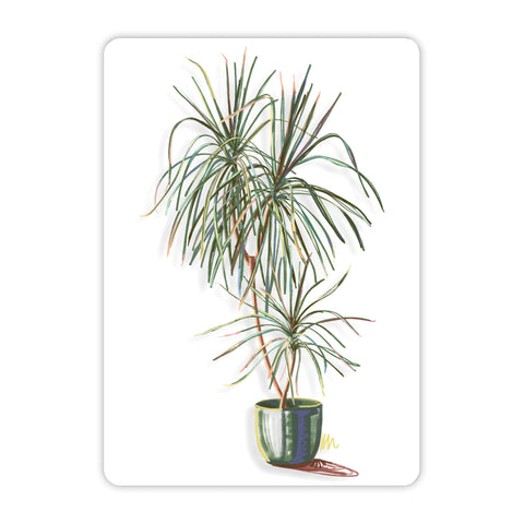 Dracaena Acrylic Poster