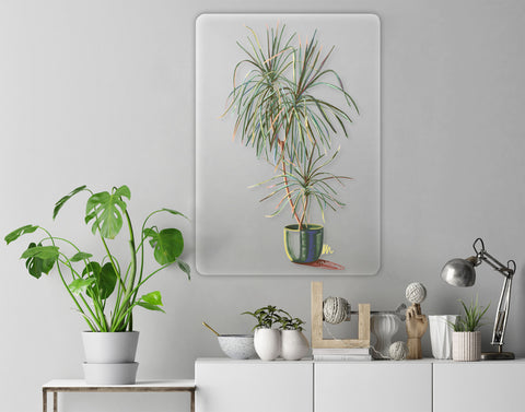 Dracaena Acrylic Poster