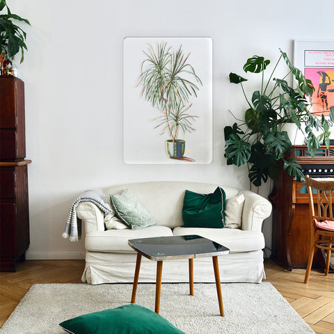 Dracaena Acrylic Poster