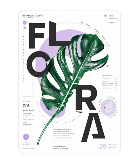 Floral Acrylic Poster