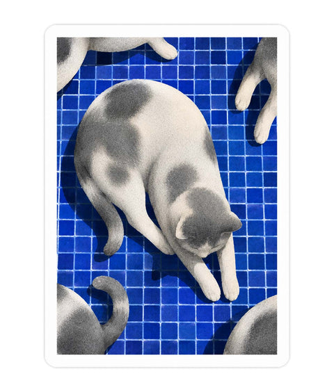 Grey Cat Acrylic Poster