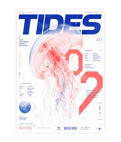 Jellyfish Acrylic Poster
