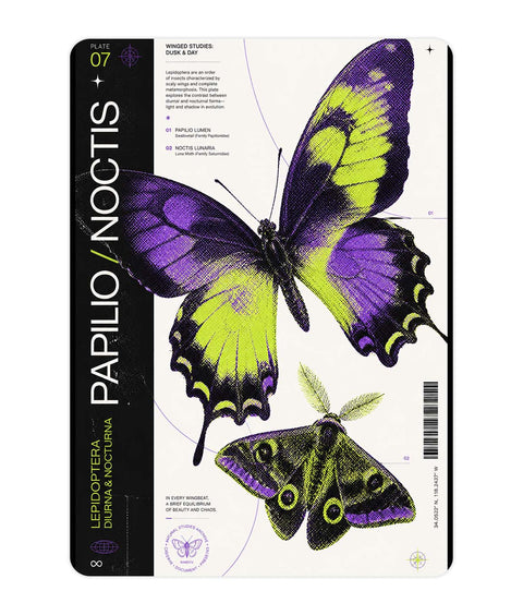 Papilio Noctis Acrylic Poster