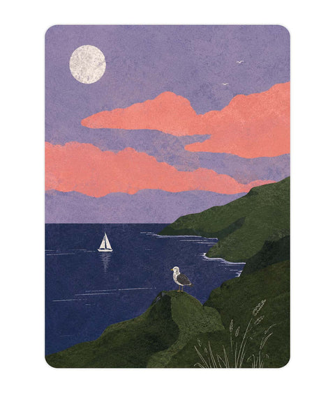 Seagull Acrylic Poster
