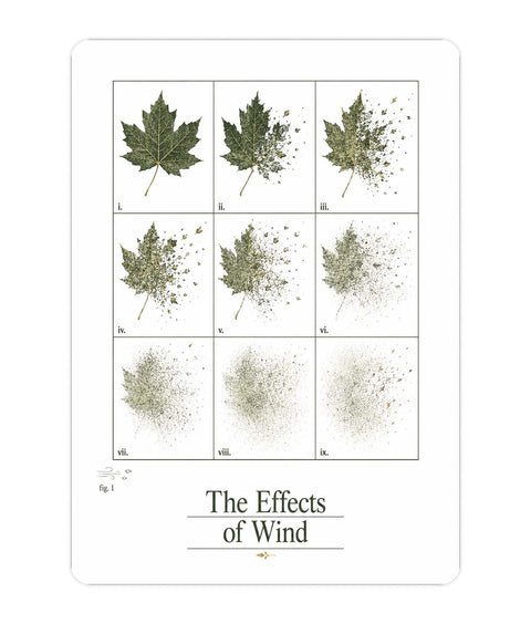 Wind Acrylic Poster