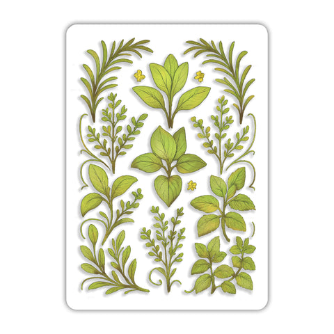 Herbs Acrylic Poster