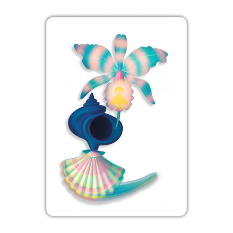 Seashells Acrylic Poster