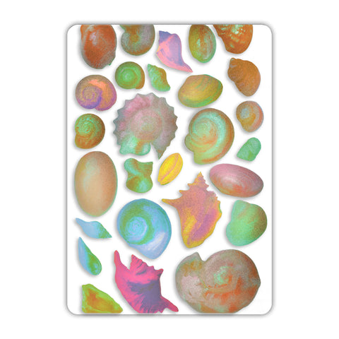 Seashells Acrylic Poster