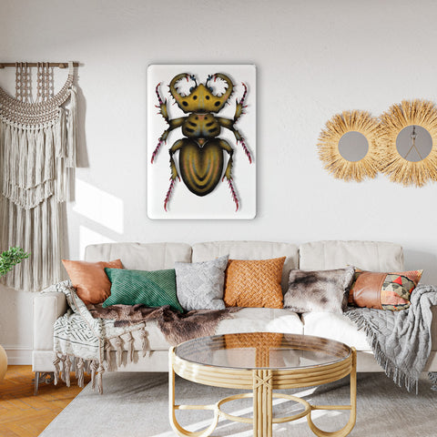 Beetle Acrylic Poster