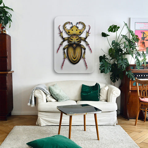 Beetle Acrylic Poster
